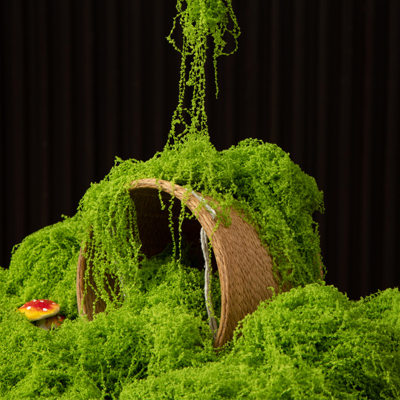 Preserved Moss Sheet - Muschio Eterno 200g per Artigianato Fai-da-Te,
