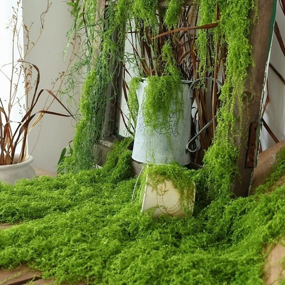 Preserved Moss Sheet - Tappeto in Erba Sintetica Fai-da-Te, Resistente,