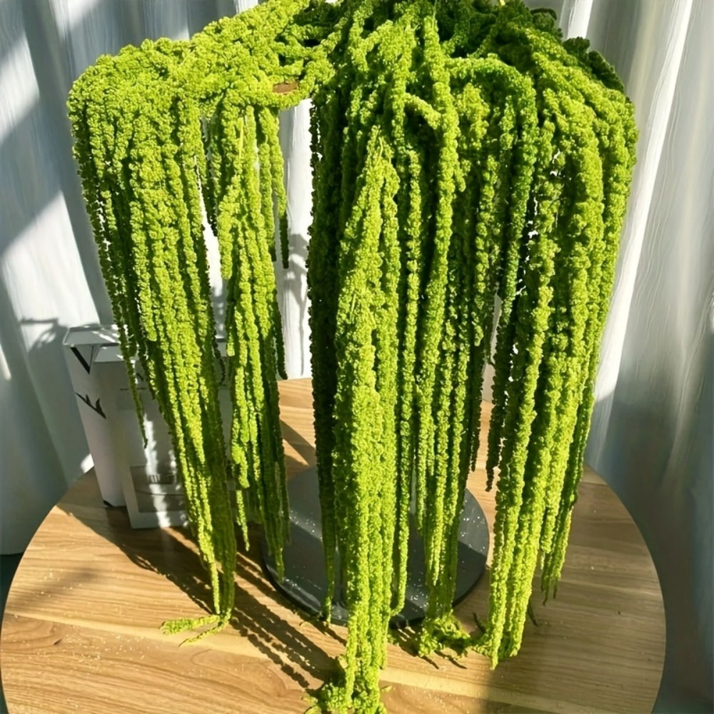 Set di 4 Pezzi di Fiori Artifi - Preserved Moss Sheet recensione e prezzo