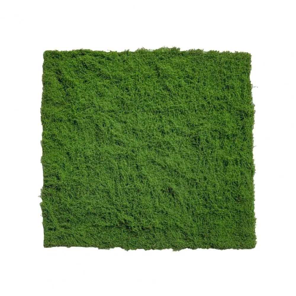 Tappeto in Erba Sintetica Fai- - Preserved Moss Sheet recensione e prezzo