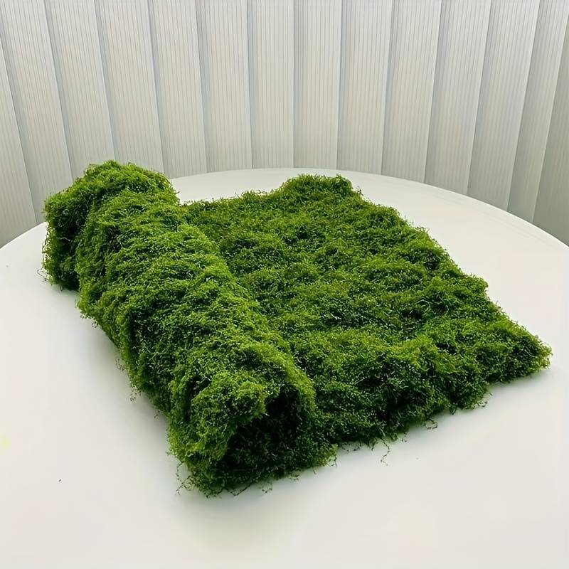 Tappeto in finto muschio 20' x - Preserved Moss Sheet recensione e prezzo