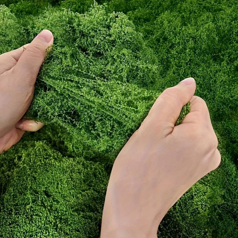 Tappeto in finto muschio 20' x - Preserved Moss Sheet recensione e prezzo