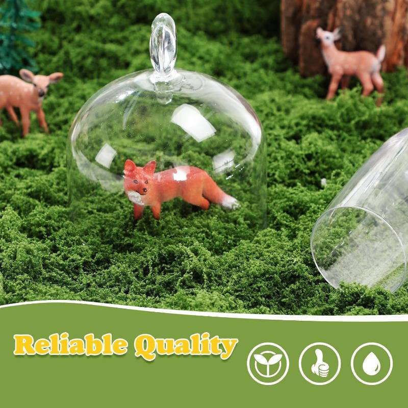 Tappeto in finto muschio 20' x - Preserved Moss Sheet recensione e prezzo