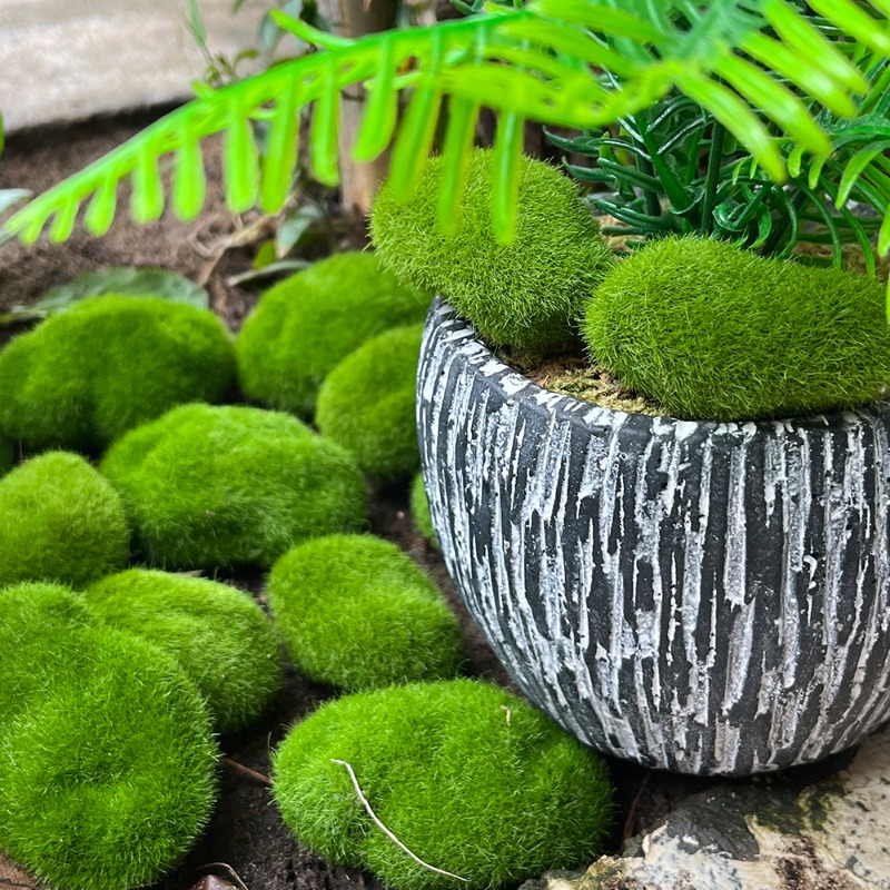 100/5 Pezzi Rocce di Muschio A - Preserved Moss Sheet recensione e prezzo