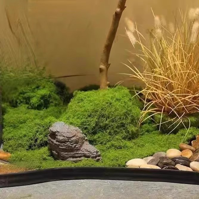 Muschio Eterno 200g per Artigi - Preserved Moss Sheet recensione e prezzo