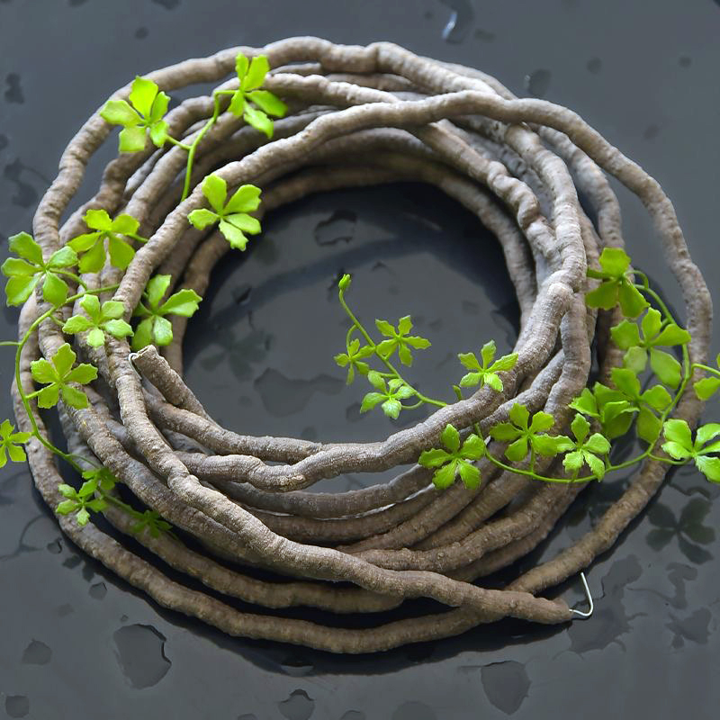 Piante Rampicanti Artificiali  - Preserved Moss Sheet recensione e prezzo