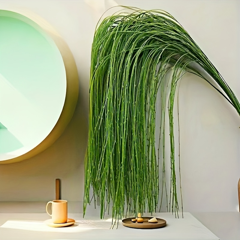 3 viti artificiali sospese in  - Preserved Moss Sheet recensione e prezzo