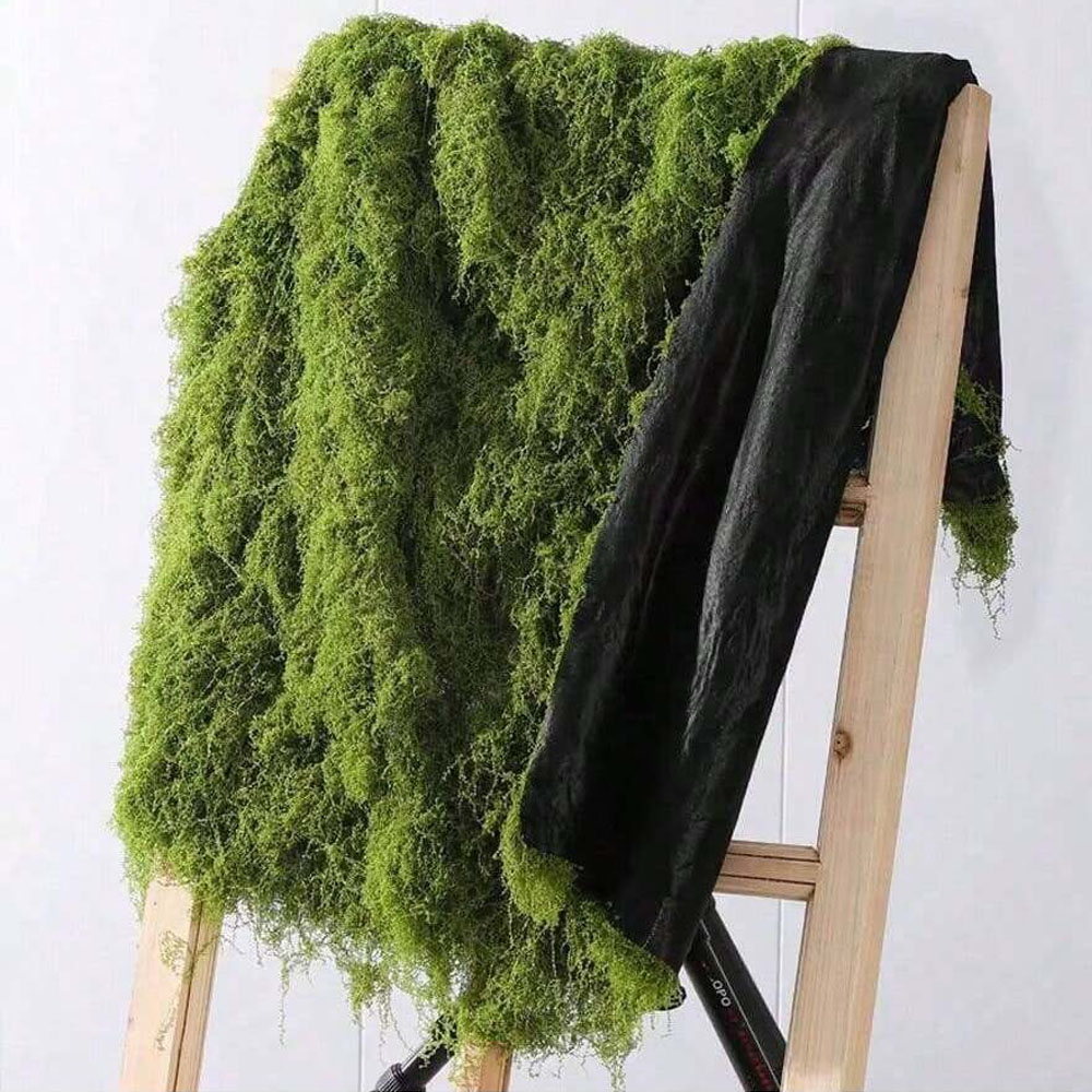 1*1m Muschio Finto Artigianato - Preserved Moss Sheet recensione e prezzo
