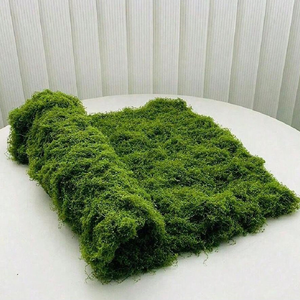 1*1m Muschio Finto Artigianato - Preserved Moss Sheet recensione e prezzo