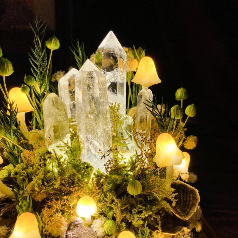 Lampada Notturna a Forma di Fu - Preserved Moss Sheet recensione e prezzo