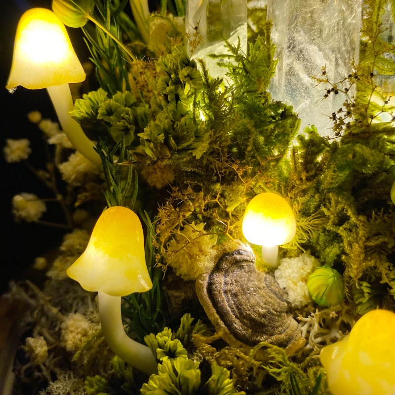 Lampada Notturna a Forma di Fu - Preserved Moss Sheet recensione e prezzo