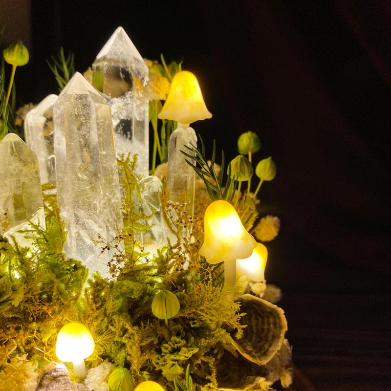 Lampada Notturna a Forma di Fu - Preserved Moss Sheet recensione e prezzo